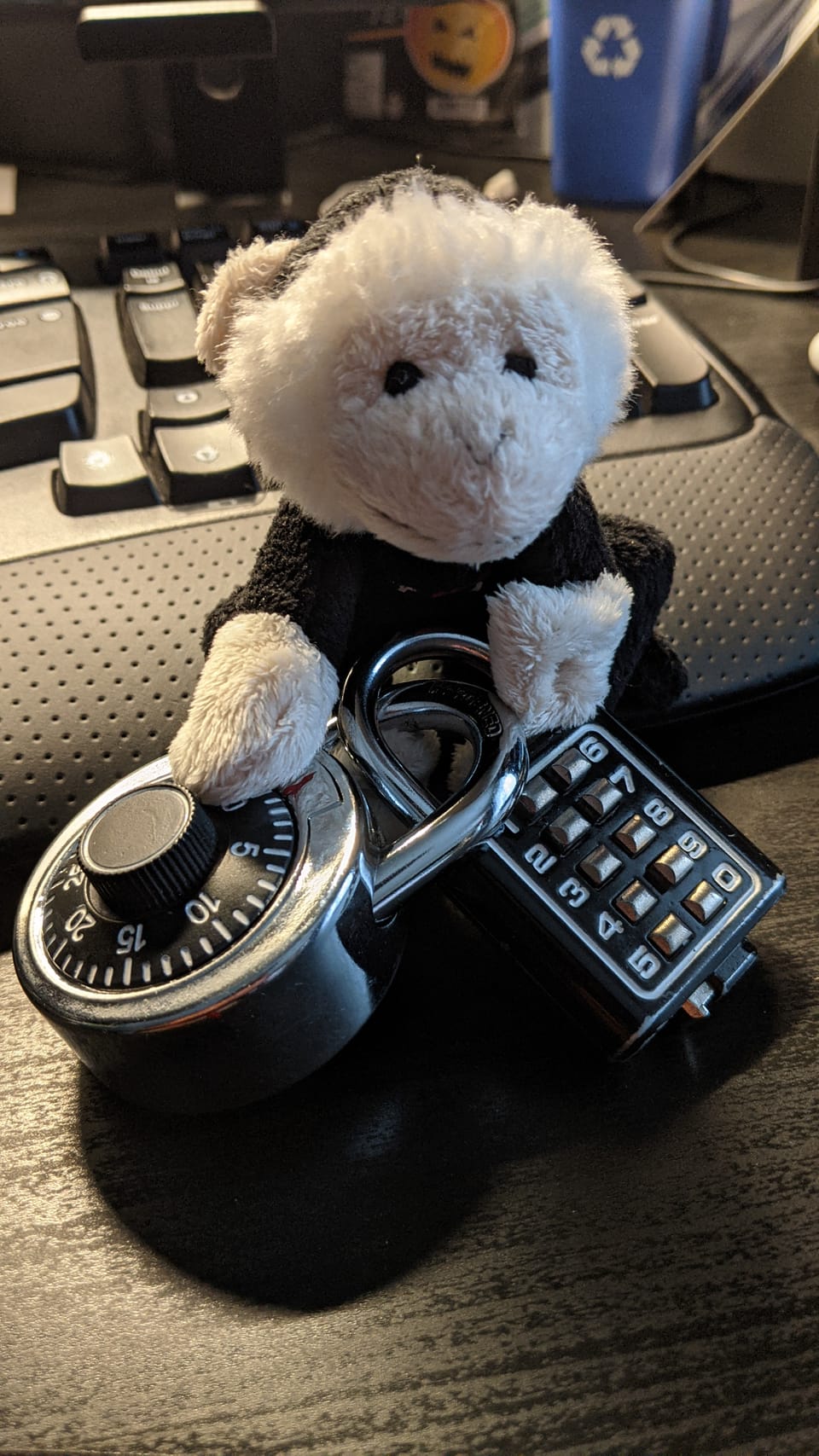 ¿Son importantes los passwords?
